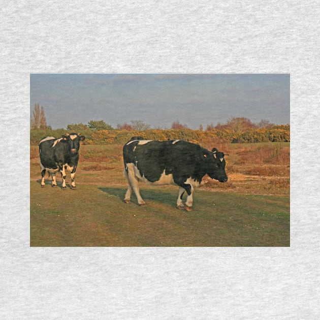Shetland Cattle, Turbary Common, March 2021 by RedHillDigital